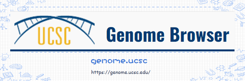 11.genome.ucsc.PNG