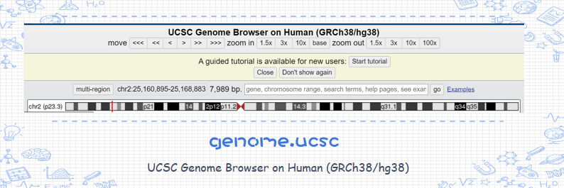 12.UCSC Genome Browser on Human.PNG